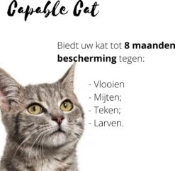 Capable Cat Vlooienband Kat | Vlooien | Luizen | Teken | Mijten | 8 Maanden Bescherming | Katten 10 Capable Cat Vlooienband Kat | Vlooien | Luizen | Teken | Mijten | 8 Maanden Bescherming | Katten -Kattenbenodigdheden 1200x1170 1
