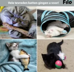 Filo Kattenspeelgoed Set 30 Stuks - Kattenspeeltje Kattentunnel - Kattenhengel - Kattenveertjes - Vis Met Kattenkruid - Kattenspeeltjes Intelligentie Kitten - Interactief Speelgoed Katten - Poezen Speeltjes -Kattenbenodigdheden 1200x1170 9