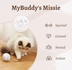 MyBuddy - Interactieve Zelf Rollende Bal - Kattenspeeltjes - Kattenspeelgoed - Bal Voor Katten - LED Lights - Speelgoed - USB - Roze -Kattenbenodigdheden 1200x1171 2