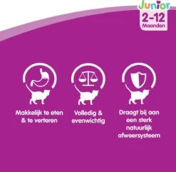 Whiskas Junior Katten Natvoer - Classic Selectie In Saus - 48 X 100g 10 Whiskas Junior Katten Natvoer - Classic Selectie In Saus - 48 X 100g -Kattenbenodigdheden 1200x1172 1