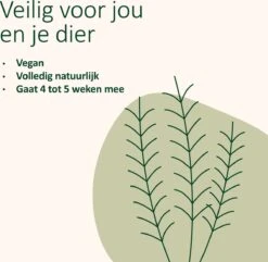 Catuals Kattenbakvulling Geurverdrijver - Neutraliseert Urinegeur Van Katten - Cotton Fresh - 500g 15 Catuals Kattenbakvulling Geurverdrijver - Neutraliseert Urinegeur Van Katten - Cotton Fresh - 500g -Kattenbenodigdheden 1200x1172 8