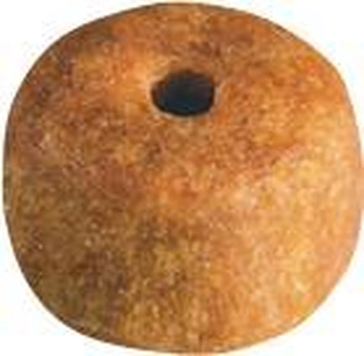 Royal Canin Siamese Adult - Kattenvoer - 4 Kg 13 Royal Canin Siamese Adult - Kattenvoer - 4 Kg - Afbeelding 11