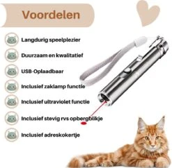 Laserpen - USB - Kattenspeeltjes - Zaklamp - Kat - Laser - Kattenspeelgoed - RVS Opbergblikje -Kattenbenodigdheden 1200x1175 7