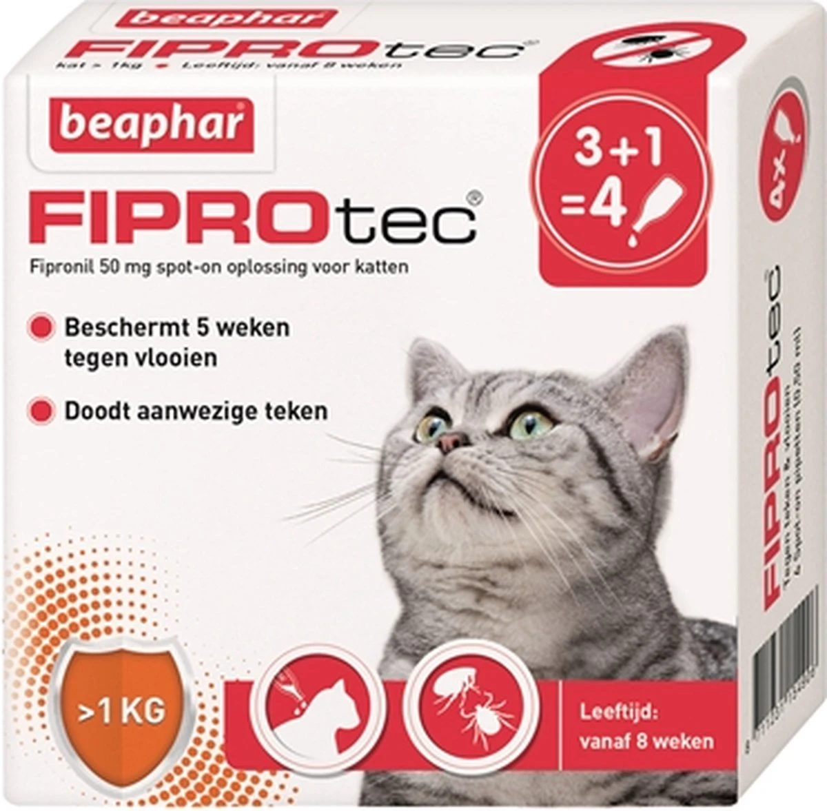 Beaphar Fiprotec Kat - Vlooienbestrijding - >1 Kg - 4 Pipetten 8 Beaphar Fiprotec Kat - Vlooienbestrijding - >1 Kg - 4 Pipetten - Afbeelding 6
