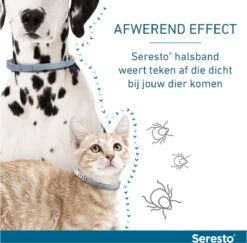 Seresto Teken- En Vlooienband - Anti Tekenmiddel - Kat - 38 Cm 25 Seresto Teken- En Vlooienband - Anti Tekenmiddel - Kat - 38 Cm -Kattenbenodigdheden 1200x1179