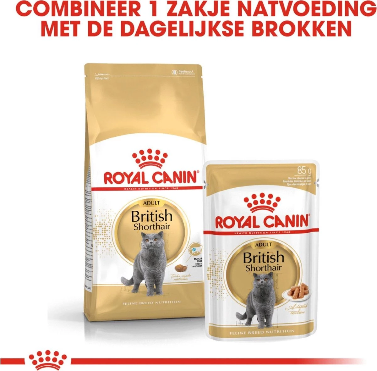 Royal Canin British Shorthair Adult - Kattenvoer - 4 Kg 7 Royal Canin British Shorthair Adult - Kattenvoer - 4 Kg - Afbeelding 5