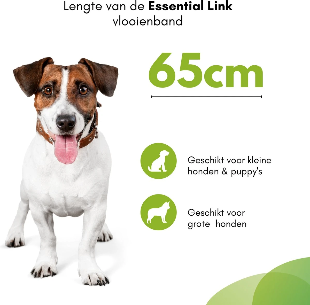 Essential Link Teken- En Vlooienband - Vlooienband Kat/Hond – Anti Vlooien – Vlooienmiddel - Tekenband - Diervriendelijk 8 Essential Link Teken- En Vlooienband - Vlooienband Kat/Hond – Anti Vlooien – Vlooienmiddel - Tekenband - Diervriendelijk - Afbeelding 6