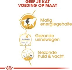 Royal Canin Fbn British Shorthair Adult Pouch - Kattenvoer - 12x85 G 14 Royal Canin Fbn British Shorthair Adult Pouch - Kattenvoer - 12x85 G -Kattenbenodigdheden 1200x1182