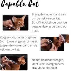 Capable Cat Vlooienband Kat | Vlooien | Luizen | Teken | Mijten | 8 Maanden Bescherming | Katten 14 Capable Cat Vlooienband Kat | Vlooien | Luizen | Teken | Mijten | 8 Maanden Bescherming | Katten -Kattenbenodigdheden 1200x1186