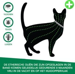 Teken- En Vlooienband Voor Katten PLUS - Natuurlijk Middel Tegen Vlooien En Teken - 100% Natuurlijk - 38,5 CM - Tot 8 Maand Werkzaam - Biologisch 10 Teken- En Vlooienband Voor Katten PLUS - Natuurlijk Middel Tegen Vlooien En Teken - 100% Natuurlijk - 38,5 CM - Tot 8 Maand Werkzaam - Biologisch -Kattenbenodigdheden 1200x1188