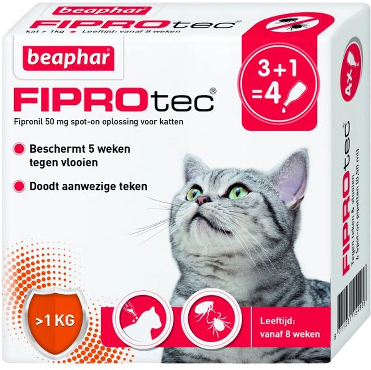 Beaphar Fiprotec Kat - Vlooienbestrijding - >1 Kg - 4 Pipetten 10 Beaphar Fiprotec Kat - Vlooienbestrijding - >1 Kg - 4 Pipetten - Afbeelding 8