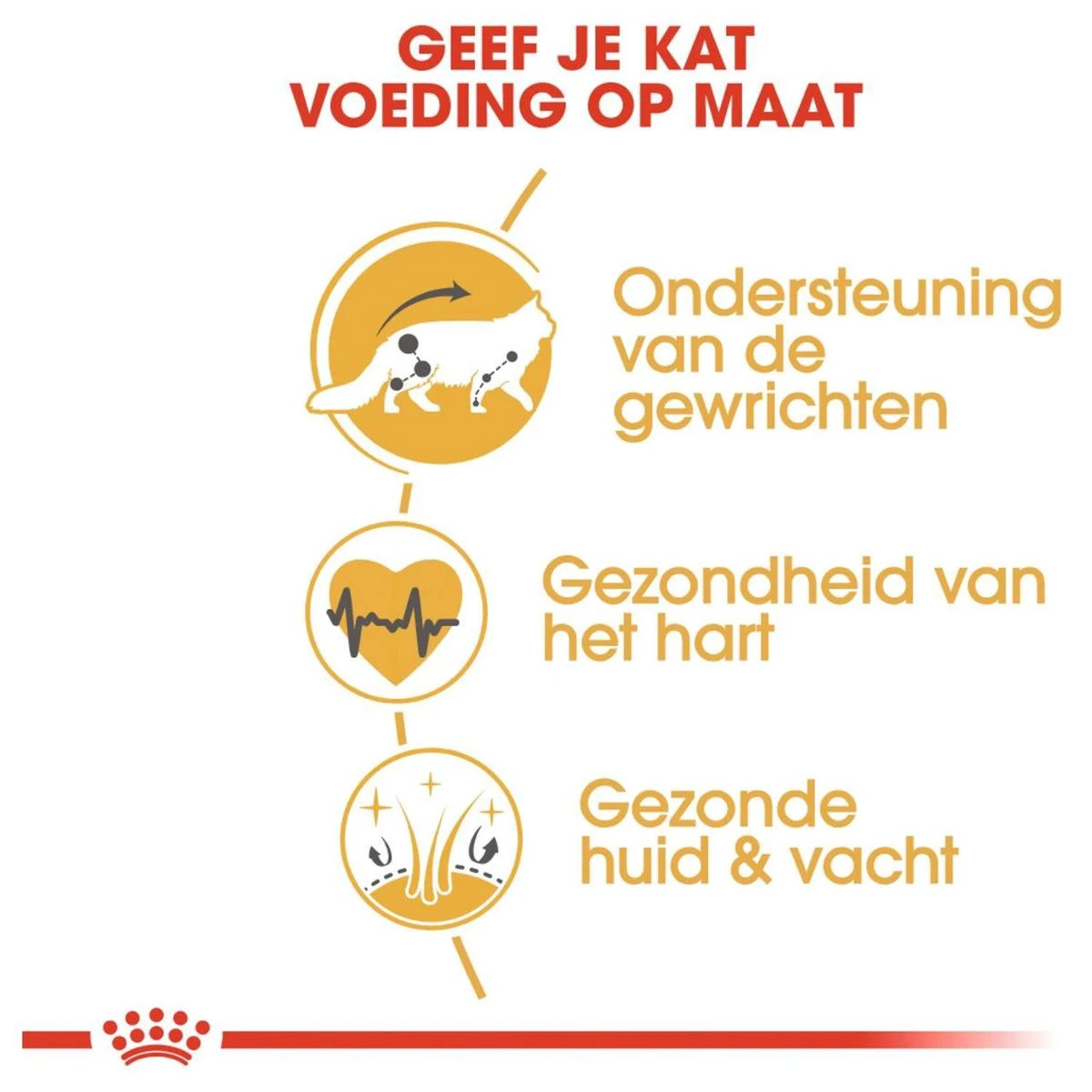 Royal Canin Maine Coon Adult - Kattenvoer - 10 Kg 6 Royal Canin Maine Coon Adult - Kattenvoer - 10 Kg - Afbeelding 4