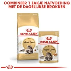 Royal Canin Maine Coon Adult - Kattenvoer - 10 Kg 19 Royal Canin Maine Coon Adult - Kattenvoer - 10 Kg -Kattenbenodigdheden 1200x1200 105