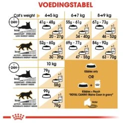 Royal Canin Maine Coon Adult - Kattenvoer - 10 Kg 21 Royal Canin Maine Coon Adult - Kattenvoer - 10 Kg -Kattenbenodigdheden 1200x1200 106