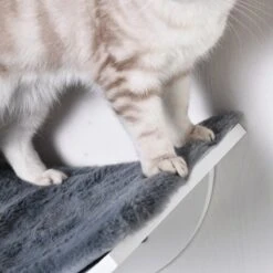 Merkloos Paws And Claws - Cat Shelf – Hangmat Kat – Kattenplank - Kattenbed - Wasbaar – Wandmontage – MDF - Wit 16 Merkloos Paws And Claws - Cat Shelf – Hangmat Kat – Kattenplank - Kattenbed - Wasbaar – Wandmontage – MDF - Wit -Kattenbenodigdheden 1200x1200 1077