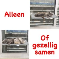 Merkloos Kattenhangmat - Kattenbed - Hangmat Kat Raam Ook Voor Radiator En Deur - Kattenmand Raam En Radiator - Katten Hangmat - Radiatorhangmat Kat Kattenstoel - Tijdelijk Met Extra Hangmat Hoes -Kattenbenodigdheden 1200x1200 1084