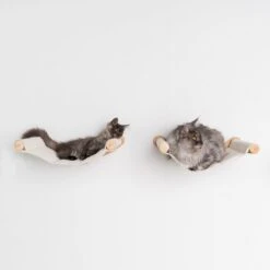 RHRQuality Wandmeubel Wandmontage Klimmuur Kat 53 X 43cm Luxe Hangmat XXL Creme Klim Wand Muur Krabpaal Katten Muurbevestiging 14 RHRQuality Wandmeubel Wandmontage Klimmuur Kat 53 X 43cm Luxe Hangmat XXL Creme Klim Wand Muur Krabpaal Katten Muurbevestiging -Kattenbenodigdheden 1200x1200 1093