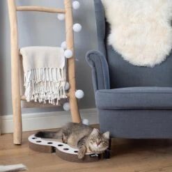 Interactief Design Krabspeelgoed Voor Katten Van Duurzaam Karton - District 70 SNAKE - Zwart -Kattenbenodigdheden 1200x1200 1118