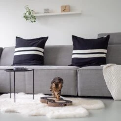 Interactief Design Krabspeelgoed Voor Katten Van Duurzaam Karton - District 70 SNAKE - Zwart -Kattenbenodigdheden 1200x1200 1119