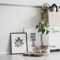 Interactief Design Krabspeelgoed Voor Katten Van Duurzaam Karton - District 70 SNAKE - Zwart -Kattenbenodigdheden 1200x1200 1121