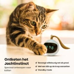 Otiume Slimme Katten Speeltje - Interactieve Zelf Rollende Bal Voor Katten - Kattenspeeltjes -Speelgoed Voor Dieren - USB Oplaadbaar 13 Otiume Slimme Katten Speeltje - Interactieve Zelf Rollende Bal Voor Katten - Kattenspeeltjes -Speelgoed Voor Dieren - USB Oplaadbaar -Kattenbenodigdheden 1200x1200 1130
