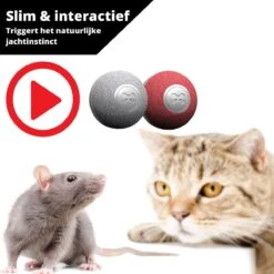 Cheerble Mini Ball 2.0 - Slimme Interactieve Zelf Rollende Bal Voor Katten - 3 Speelmodi - Kattenspeeltjes - USB Oplaadbaar - Rood 19 Cheerble Mini Ball 2.0 - Slimme Interactieve Zelf Rollende Bal Voor Katten - 3 Speelmodi - Kattenspeeltjes - USB Oplaadbaar - Rood -Kattenbenodigdheden 1200x1200 1148