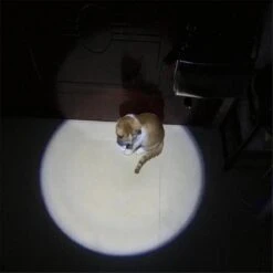 Merkloos Hoogwaardig Laserlampje Voor Katten | USB Oplaadbaar | 7 In 1 Laserpen | Laserpen | Zaklamp | Kattenspeeltje | Kattenspeelgoed | Zilver | Laserpointer Rood/groen | UV Licht -Kattenbenodigdheden 1200x1200 1180