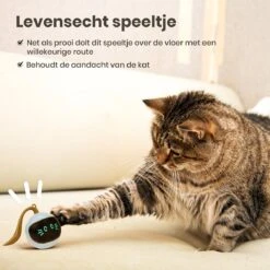 Otiume Interactieve Speelbal - Slimme Interactieve Jaag Speeltje Voor Katten - Kattenspeeltjes - Intelligente Jaagbal - AI -USB Oplaadbaar - LED - Blauw 14 Otiume Interactieve Speelbal - Slimme Interactieve Jaag Speeltje Voor Katten - Kattenspeeltjes - Intelligente Jaagbal - AI -USB Oplaadbaar - LED - Blauw -Kattenbenodigdheden 1200x1200 1182