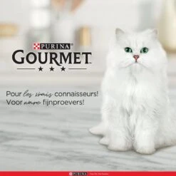 Purina One Purina Gourmet Perle - Mini Filets In Saus - Kalkoen Eend Tonijn & Lam - 40x85g -Kattenbenodigdheden 1200x1200 119