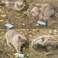 Mint Kitty Katten Speelgoed Set Van Kattenkussen Met Kattenkruid -Kattenbenodigdheden 1200x1200 1210