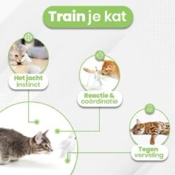 Petgeek Running Smart - Kattenspeeltjes Intelligentie - Kattenspeelgoed - Automatische Bewegingen - Kattenspeeltjes 14 Petgeek Running Smart - Kattenspeeltjes Intelligentie - Kattenspeelgoed - Automatische Bewegingen - Kattenspeeltjes -Kattenbenodigdheden 1200x1200 1223