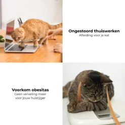 Pettadore - Laser Kattenspeeltjes - Smart Met Autoplay En Handmatig Via App 21 Pettadore - Laser Kattenspeeltjes - Smart Met Autoplay En Handmatig Via App -Kattenbenodigdheden 1200x1200 1237