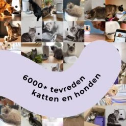 Pettadore - Laser Kattenspeeltjes - Smart Met Autoplay En Handmatig Via App 23 Pettadore - Laser Kattenspeeltjes - Smart Met Autoplay En Handmatig Via App -Kattenbenodigdheden 1200x1200 1239