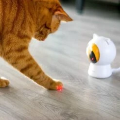 Pettadore - Laser Kattenspeeltjes - Smart Met Autoplay En Handmatig Via App 26 Pettadore - Laser Kattenspeeltjes - Smart Met Autoplay En Handmatig Via App -Kattenbenodigdheden 1200x1200 1242