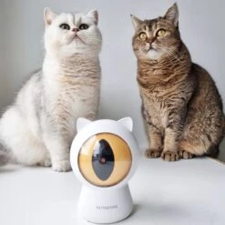 Pettadore - Laser Kattenspeeltjes - Smart Met Autoplay En Handmatig Via App 28 Pettadore - Laser Kattenspeeltjes - Smart Met Autoplay En Handmatig Via App -Kattenbenodigdheden 1200x1200 1244