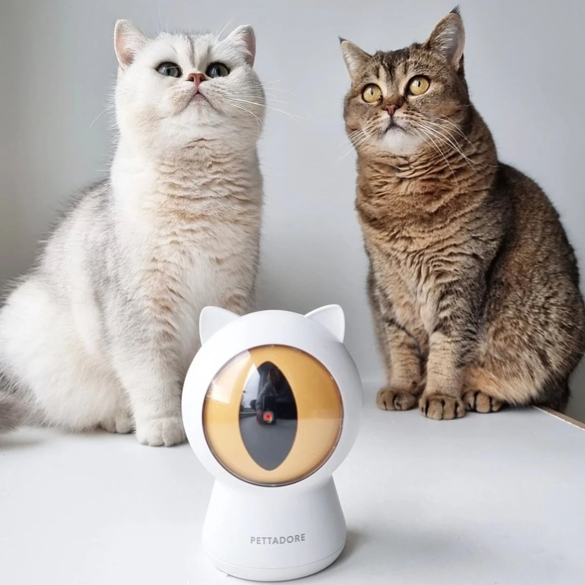 Pettadore - Laser Kattenspeeltjes - Smart Met Autoplay En Handmatig Via App 15 Pettadore - Laser Kattenspeeltjes - Smart Met Autoplay En Handmatig Via App - Afbeelding 13