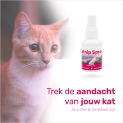 LBB - Catnip Spray 50ML - 100% Natuurlijk - CE Gekeurd - Kattenkruid Spray - Catnip Speelgoed - Valeriaan - Kat - Katten -Kattenbenodigdheden 1200x1200 1255