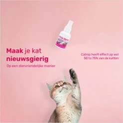 LBB - Catnip Spray 50ML - 100% Natuurlijk - CE Gekeurd - Kattenkruid Spray - Catnip Speelgoed - Valeriaan - Kat - Katten -Kattenbenodigdheden 1200x1200 1257