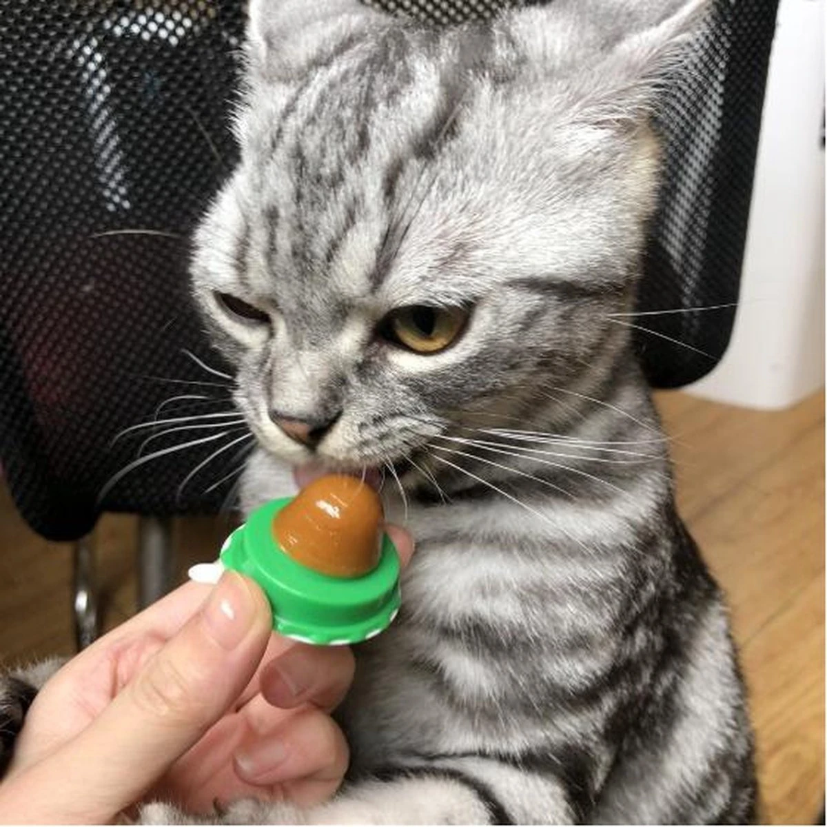 Merkloos EPIN | Kattenkruid Lik Snoepje | Plak Strip | Katten Snacks | Katten Snoep 4 Merkloos EPIN | Kattenkruid Lik Snoepje | Plak Strip | Katten Snacks | Katten Snoep - Afbeelding 2