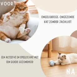 MyBuddy - Interactieve Zelf Rollende Bal - Kattenspeeltjes - Kattenspeelgoed - Bal Voor Katten - LED Lights - Speelgoed - USB - Roze -Kattenbenodigdheden 1200x1200 1259