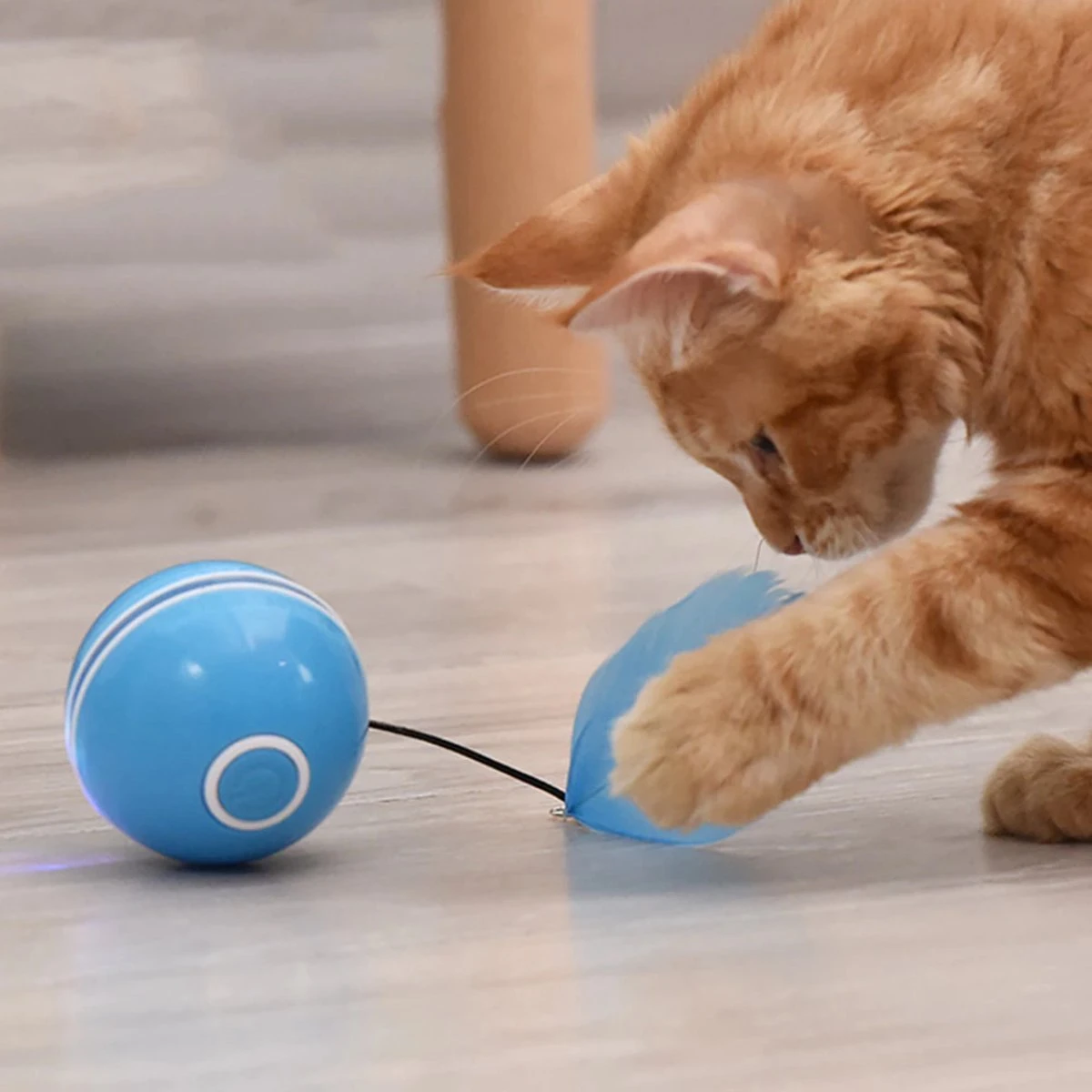 Otiume Elektrische Speelbal - Slimme Interactieve Zelfrollende Bal - Speelgoed Voor Katten - Kattenspeelgoed - Blauw 7 Otiume Elektrische Speelbal - Slimme Interactieve Zelfrollende Bal - Speelgoed Voor Katten - Kattenspeelgoed - Blauw - Afbeelding 5