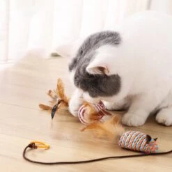 Kattenspeelgoed - Set Met 7 Kattenspeeltjes - Complete Set - Kattenhengel - Speelmuis -Kattenbenodigdheden 1200x1200 1281