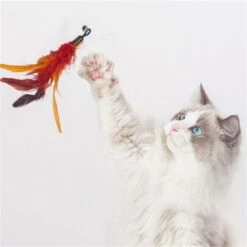 Merkloos Kattenhengel Met 10 Opzetstukjes - Kat Speelhengel Met Veren - Speelgoed Hengel Voor Katten – Kittenspeeltjes Met Veer – Kattenspeelgoed – Katten Speeltjes -Kattenbenodigdheden 1200x1200 1282