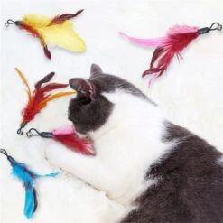 Merkloos Kattenhengel Met 10 Opzetstukjes - Kat Speelhengel Met Veren - Speelgoed Hengel Voor Katten – Kittenspeeltjes Met Veer – Kattenspeelgoed – Katten Speeltjes -Kattenbenodigdheden 1200x1200 1283