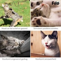 Filo Kattenspeelgoed Set 30 Stuks - Kattenspeeltje Kattentunnel - Kattenhengel - Kattenveertjes - Vis Met Kattenkruid - Kattenspeeltjes Intelligentie Kitten - Interactief Speelgoed Katten - Poezen Speeltjes -Kattenbenodigdheden 1200x1200 1285