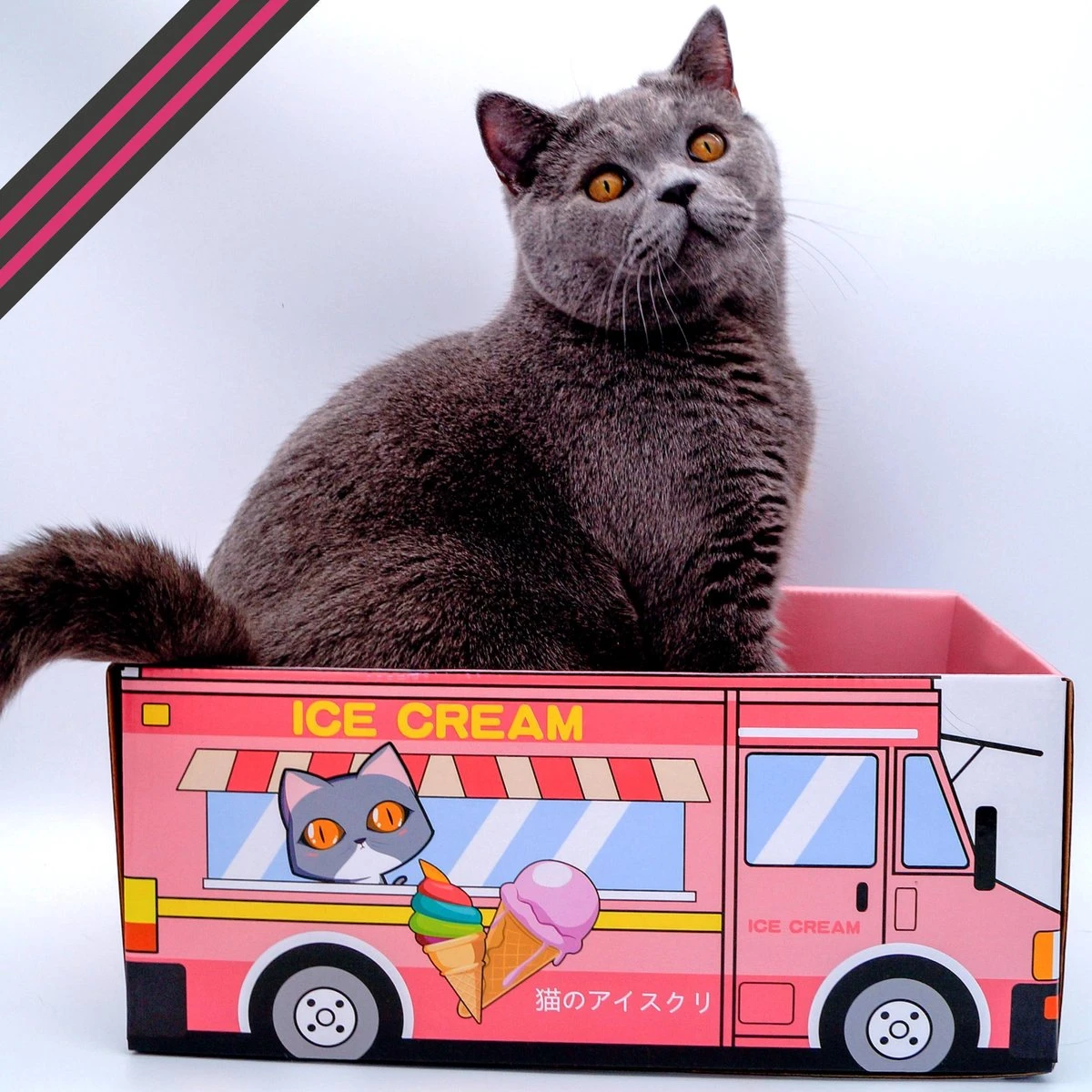 Make Me Purr Kattendoos Van Karton (Ice Cream) - Inclusief Kartonnen Krabmat - Speelgoed Doos Voor Katten Met Krab Mat - Kat Krabpaal Speeltje - Kattenbed Kattenmand Kattenhuis Kattentunnel - Kattenspeelgoed - Kattenspeeltjes - Kitten Speeltjes 6 Make Me Purr Kattendoos Van Karton (Ice Cream) - Inclusief Kartonnen Krabmat - Speelgoed Doos Voor Katten Met Krab Mat - Kat Krabpaal Speeltje - Kattenbed Kattenmand Kattenhuis Kattentunnel - Kattenspeelgoed - Kattenspeeltjes - Kitten Speeltjes - Afbeelding 4