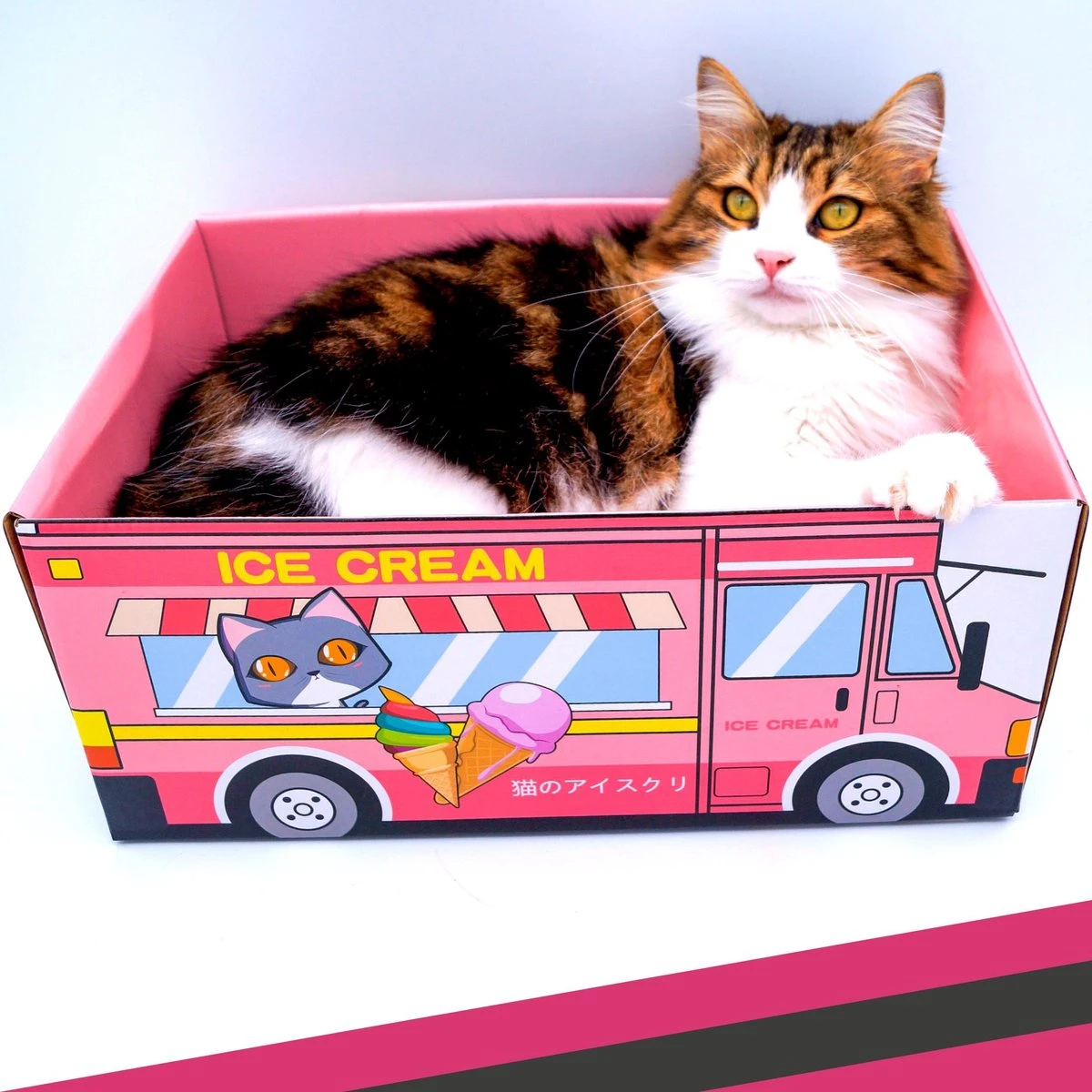 Make Me Purr Kattendoos Van Karton (Ice Cream) - Inclusief Kartonnen Krabmat - Speelgoed Doos Voor Katten Met Krab Mat - Kat Krabpaal Speeltje - Kattenbed Kattenmand Kattenhuis Kattentunnel - Kattenspeelgoed - Kattenspeeltjes - Kitten Speeltjes 7 Make Me Purr Kattendoos Van Karton (Ice Cream) - Inclusief Kartonnen Krabmat - Speelgoed Doos Voor Katten Met Krab Mat - Kat Krabpaal Speeltje - Kattenbed Kattenmand Kattenhuis Kattentunnel - Kattenspeelgoed - Kattenspeeltjes - Kitten Speeltjes - Afbeelding 5