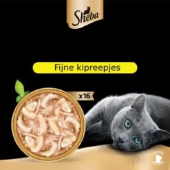 Sheba Filets - Katten Natvoer In Saus - Kipfilet Stukjes - 16 X 60 Gr 7 Sheba Filets - Katten Natvoer In Saus - Kipfilet Stukjes - 16 X 60 Gr -Kattenbenodigdheden 1200x1200 134