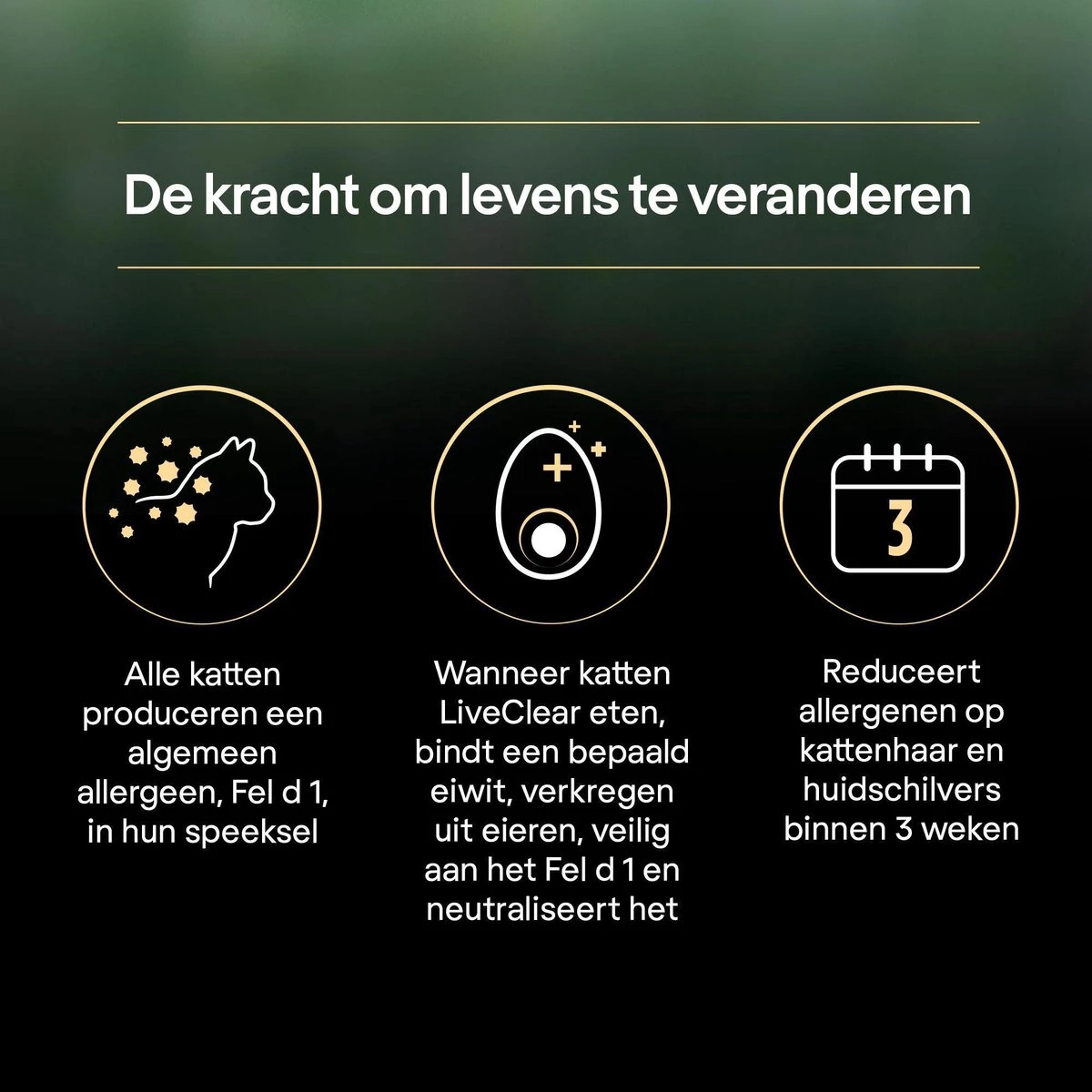 Pro Plan Senior LiveClear Katten Droogvoer - Kalkoen - 1,4 Kg 9 Pro Plan Senior LiveClear Katten Droogvoer - Kalkoen - 1,4 Kg - Afbeelding 7