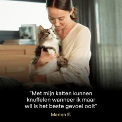 Pro Plan Senior LiveClear Katten Droogvoer - Kalkoen - 1,4 Kg 20 Pro Plan Senior LiveClear Katten Droogvoer - Kalkoen - 1,4 Kg -Kattenbenodigdheden 1200x1200 169